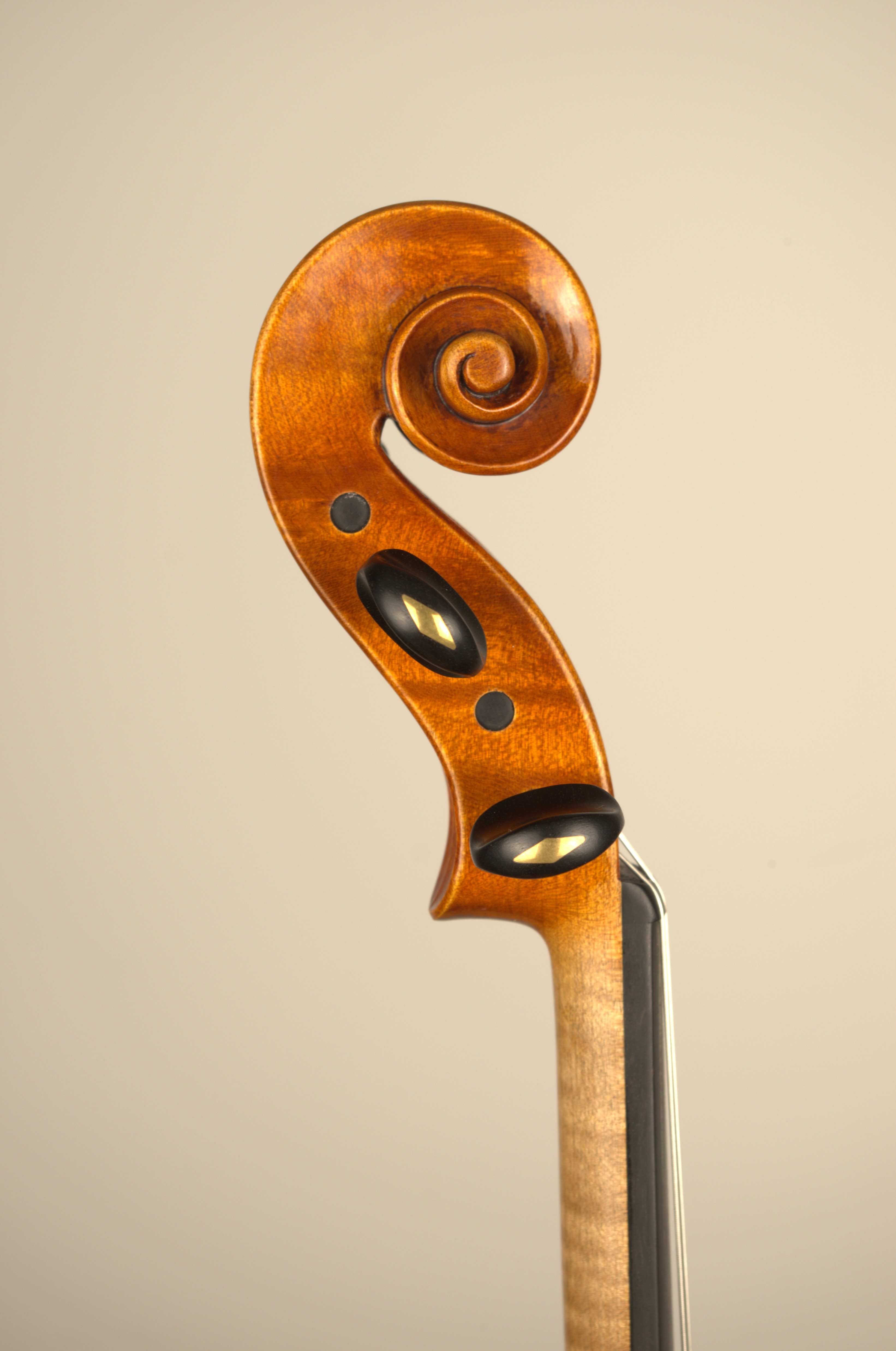 Volute