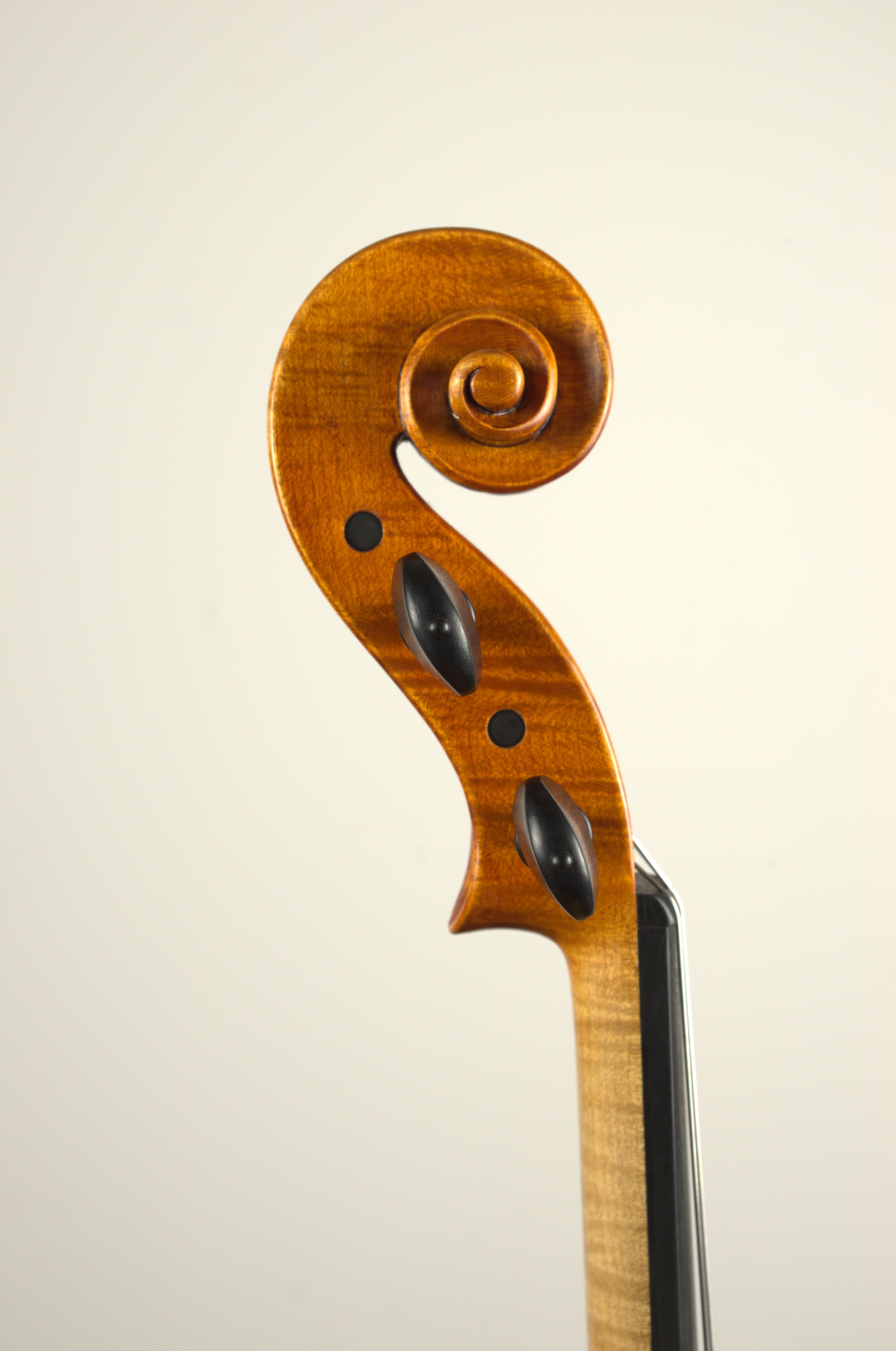 Volute côté