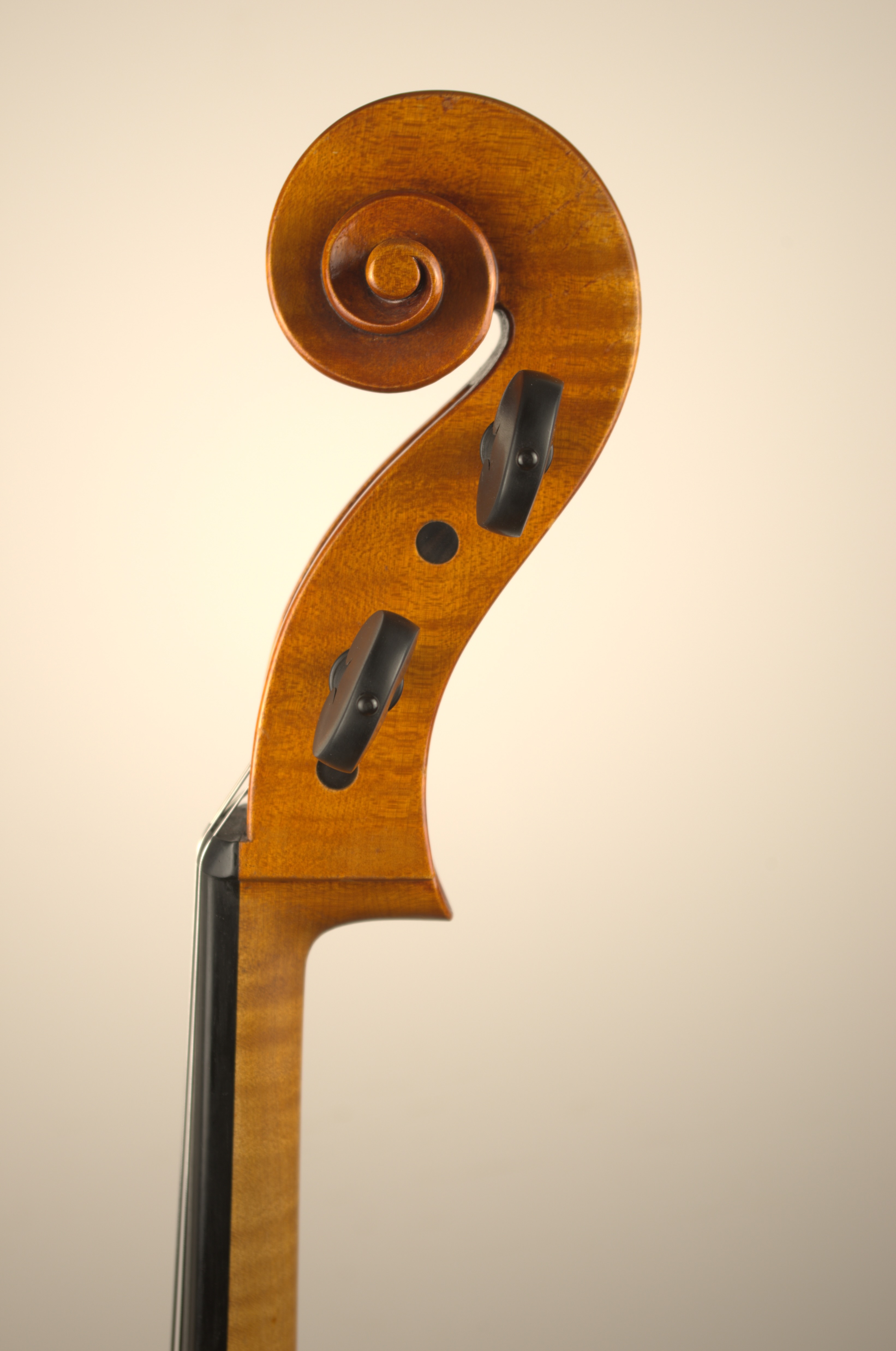 Volute côté