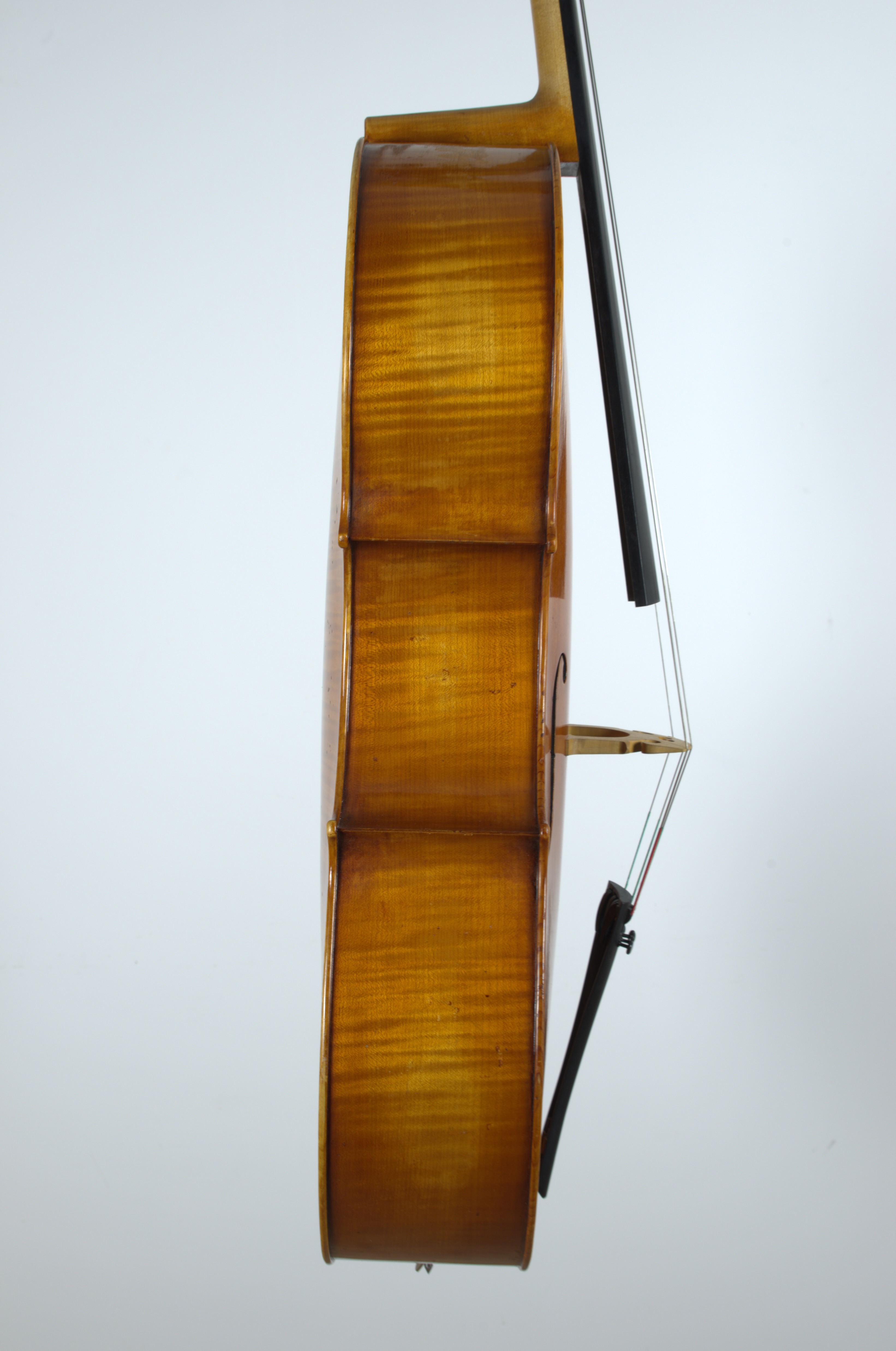 Violoncelle éclisses