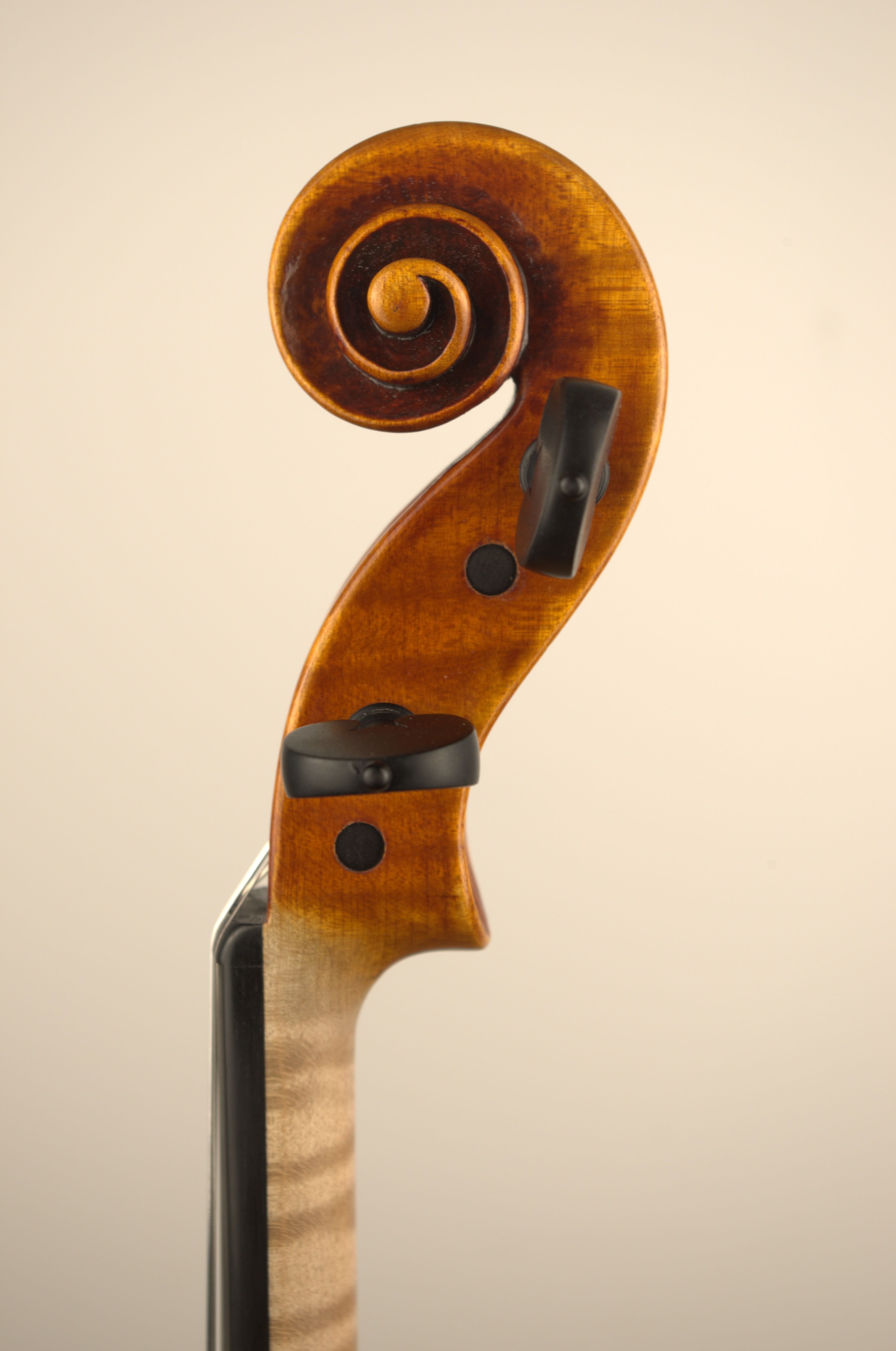 Volute sculptée