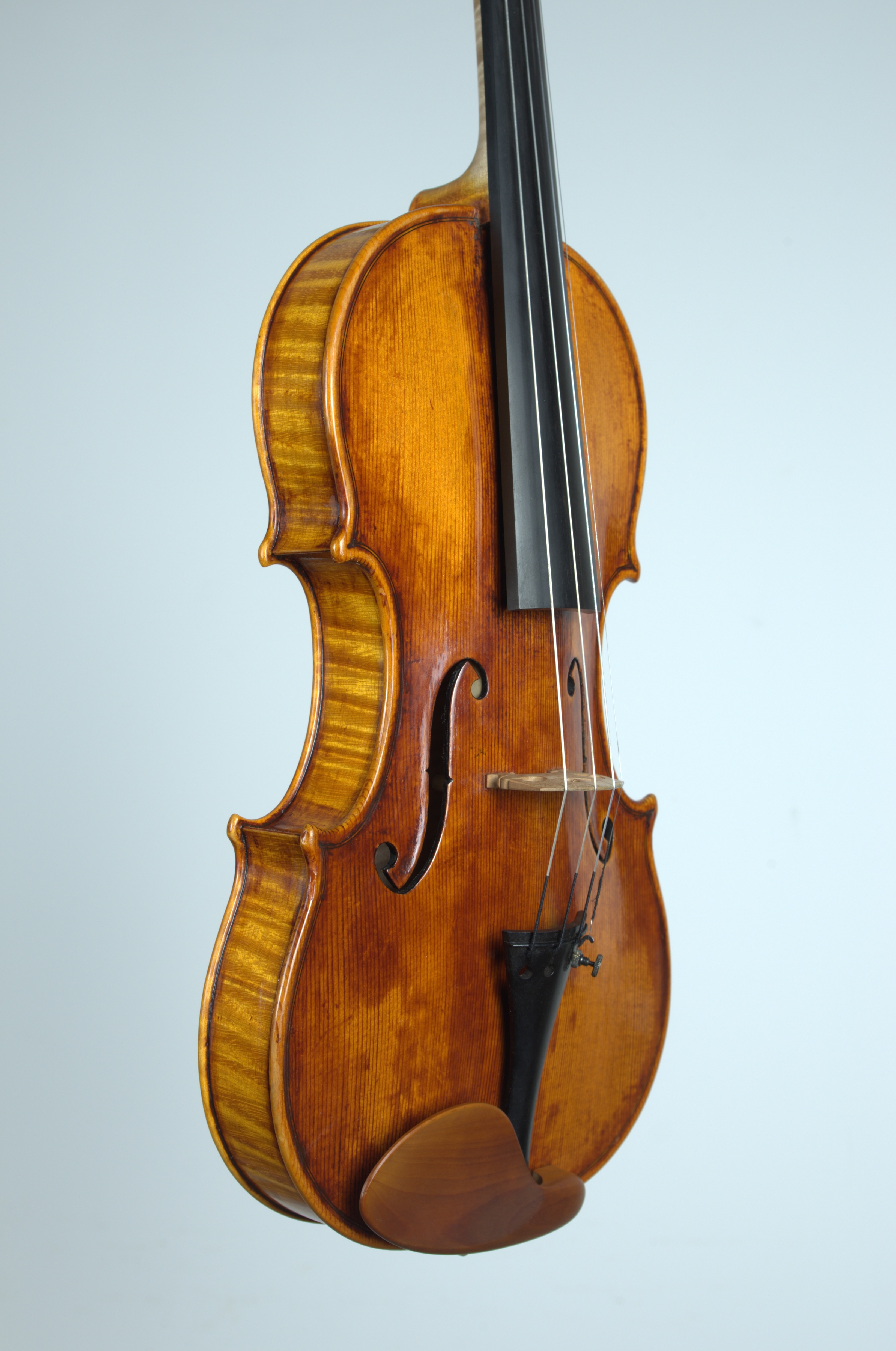 Violon profil